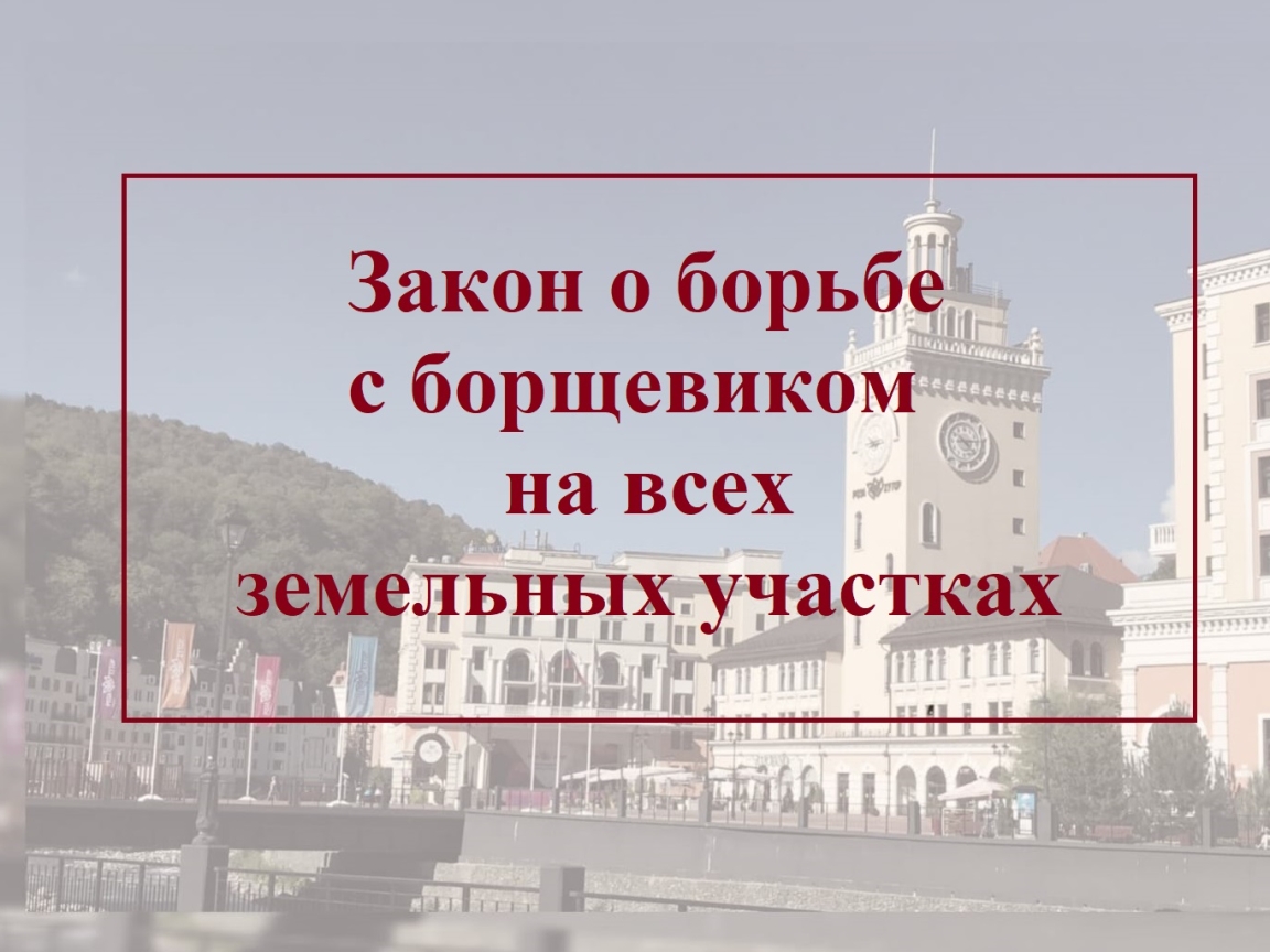 Борьба с борщевиком на всех земельных участках