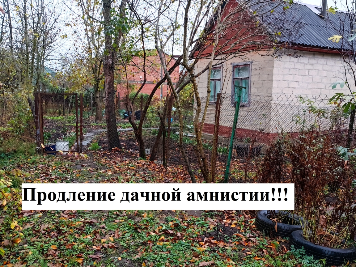Дачная амнистия