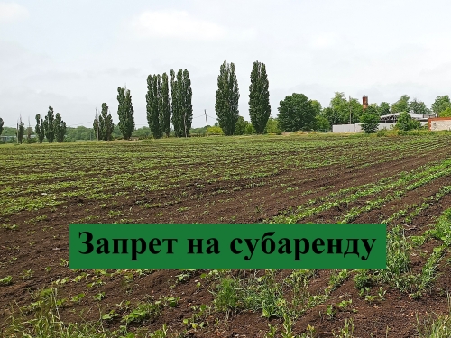 Запрет на передачу арендованного земельного участка из земель сельскохозяйственного назначения в субаренду