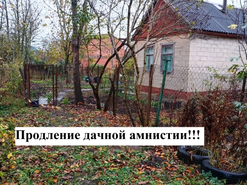 Дачная амнистия